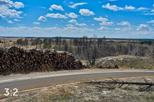 Nebraska National Forest Halsey 58189