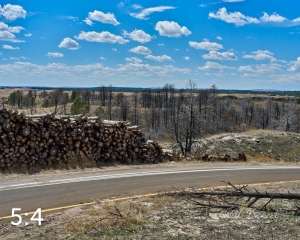 Nebraska National Forest Halsey 58189