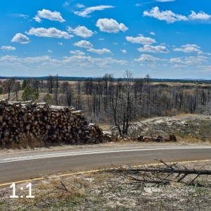 Nebraska National Forest Halsey 58189