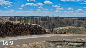 Nebraska National Forest Halsey 58189