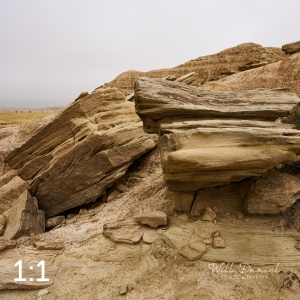 Toadstool Geologic Park 58395