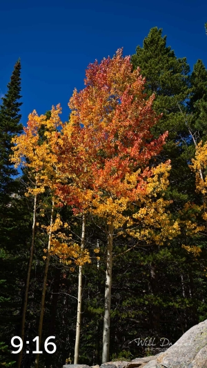 Rocky Mountain National Park 5968