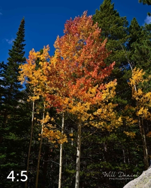 Rocky Mountain National Park 5968