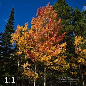 Rocky Mountain National Park 5968