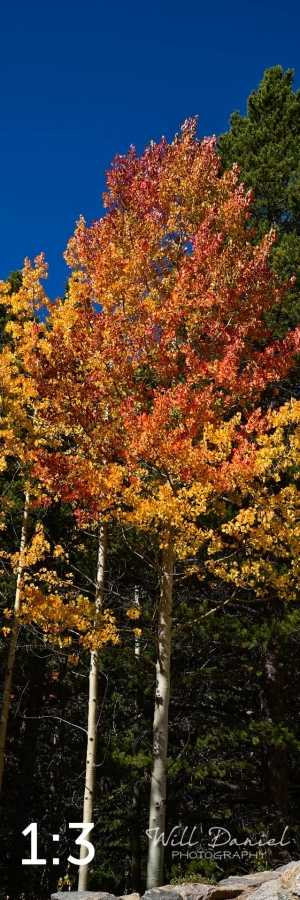 Rocky Mountain National Park 5968