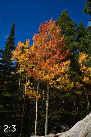 Rocky Mountain National Park 5968