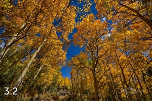 Rocky Mountain National Park 6222