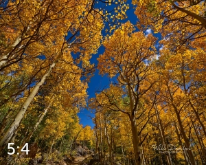 Rocky Mountain National Park 6222