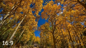 Rocky Mountain National Park 6222