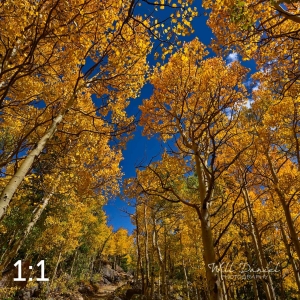 Rocky Mountain National Park 6222