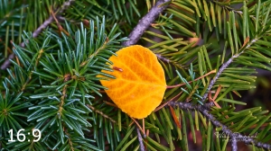 Rocky Mountain National Park 6649