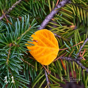 Rocky Mountain National Park 6649
