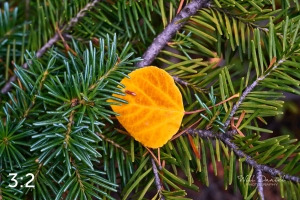Rocky Mountain National Park 6649