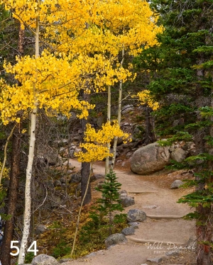 Rocky Mountain National Park 6659