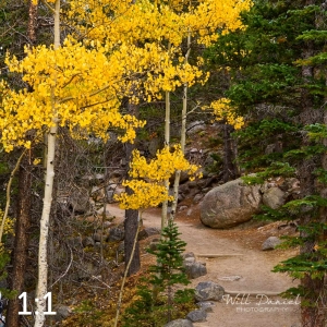 Rocky Mountain National Park 6659