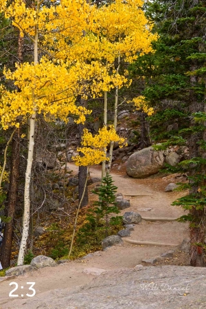 Rocky Mountain National Park 6659