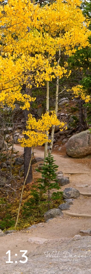 Rocky Mountain National Park 6659