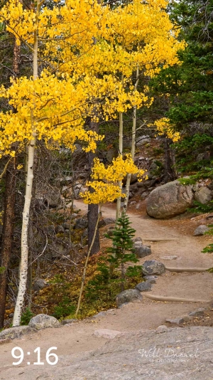Rocky Mountain National Park 6659