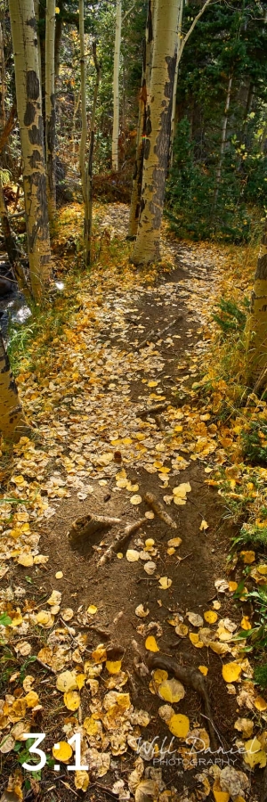 Rocky Mountain National Park 711023