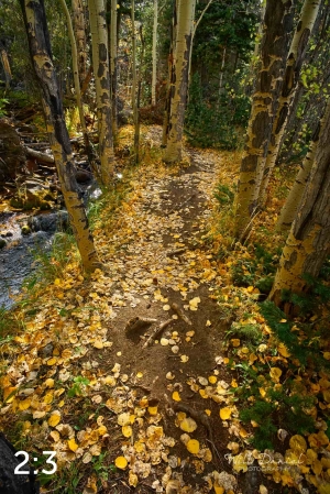 Rocky Mountain National Park 711023