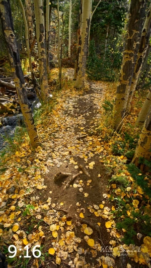Rocky Mountain National Park 711023