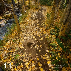 Rocky Mountain National Park 711023