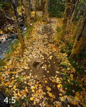 Rocky Mountain National Park 711023