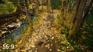 Rocky Mountain National Park 711026