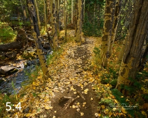 Rocky Mountain National Park 711026