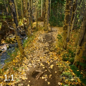 Rocky Mountain National Park 711026