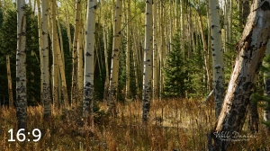 Rocky Mountain National Park 711072