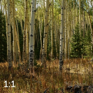 Rocky Mountain National Park 711072