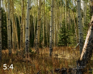 Rocky Mountain National Park 711072