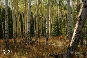 Rocky Mountain National Park 711072