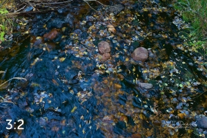 Rocky Mountain National Park 711090