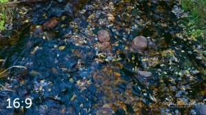 Rocky Mountain National Park 711090