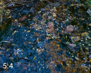 Rocky Mountain National Park 711090