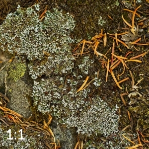 Rocky Mountain National Park 711137