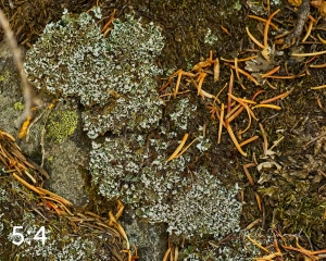 Rocky Mountain National Park 711137