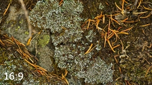 Rocky Mountain National Park 711137