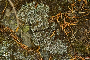 Rocky Mountain National Park 711137