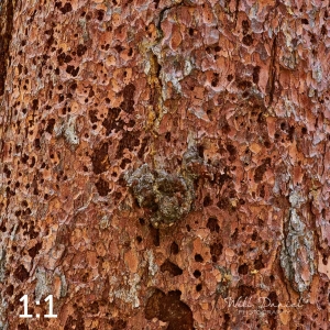 Rocky Mountain National Park 711141