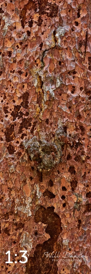 Rocky Mountain National Park 711141