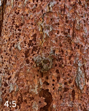 Rocky Mountain National Park 711141