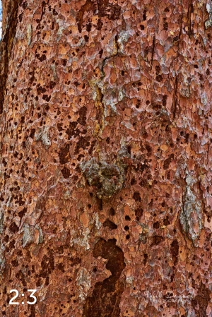 Rocky Mountain National Park 711141