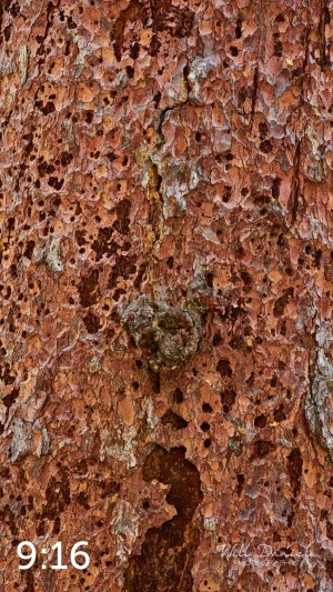 Rocky Mountain National Park 711141