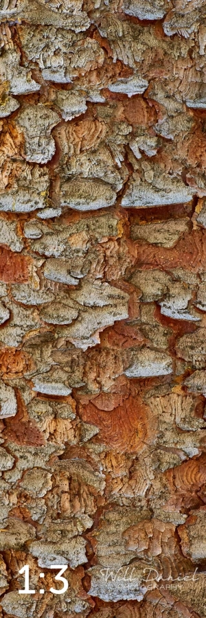 Rocky Mountain National Park 711144