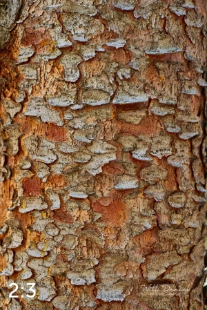 Rocky Mountain National Park 711144