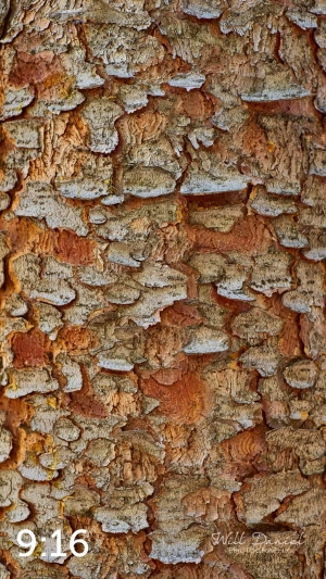 Rocky Mountain National Park 711144