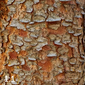 Rocky Mountain National Park 711144